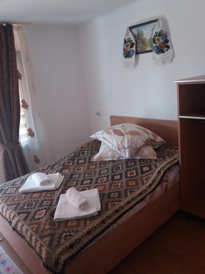 Pensiunea Montana Săpînţa Buitenkant foto