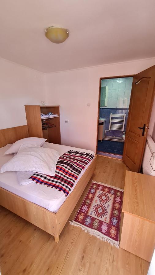 Pensiunea Montana Săpînţa Buitenkant foto